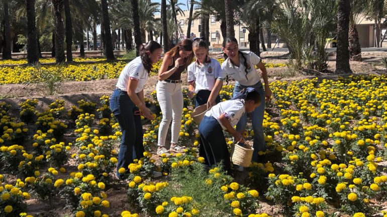 Preparando la Batalla de Flores