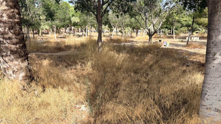 El PSOE denuncia el “absoluto abandono” de parques, jardines y espacios públicos