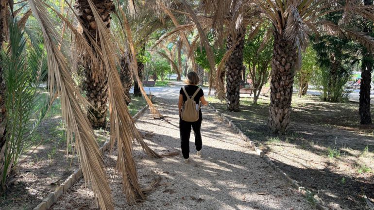 El PSOE reclama mejoras en el Parque Infantil de Tráfico porque «está hecho polvo»