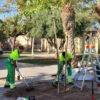 Ya está trabajando la empresa adjudicataria del servicio de Parques y Jardines