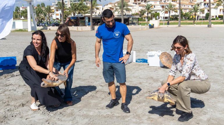 Santa Pola. La Cofradía de Pescadores devuelve al mar dos tortugas marinas