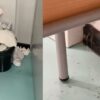 Santa Pola. Denuncian falta de personal de limpieza en el IES Gran Alacant